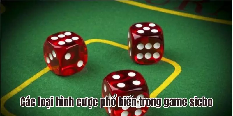 Các loại hình cược phổ biến trong game Sicbo