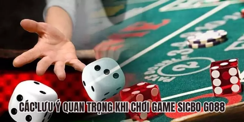 Các lưu ý quan trọng khi chơi game Sicbo GO88