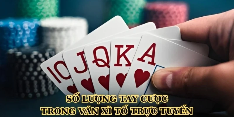 Số lượng tay cược trong ván Xì tố trực tuyến